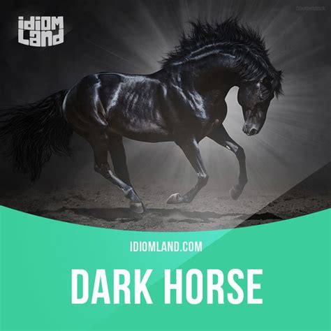 Idiom of the day: Dark horse. Meaning: A person whose abilities, plans ...