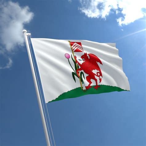 Cardiff Flag for sale | Buy Flag of Cardiff | The Flag Shop