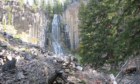 Gallatin National Forest in Montana - AllTrips