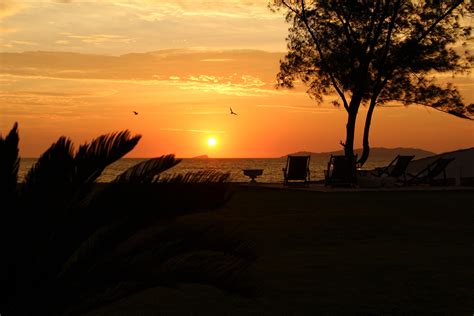 Sol mar beach sky horizon free image download