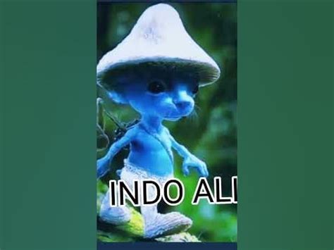 indo ali #meme - YouTube