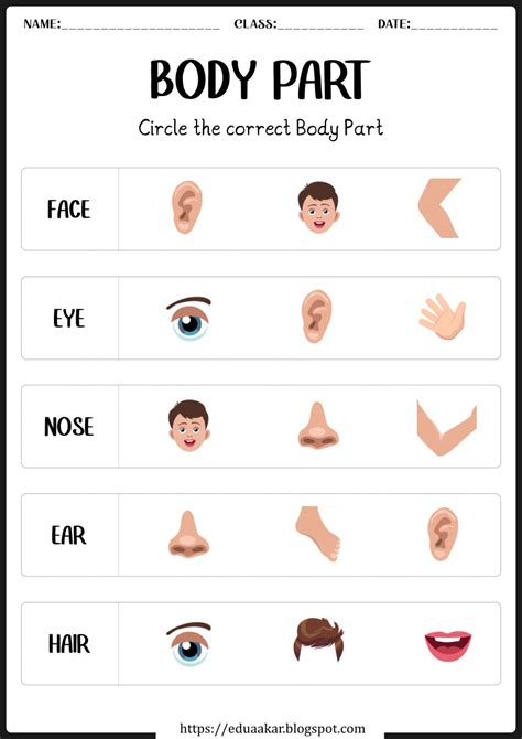 My Body Parts worksheet Body Parts Preschool Activities, Preschool Learning Activities ...