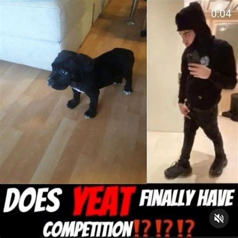 Does Yeat Finally Have Competition? MEME | Does Yeat Finally Have Competition? | Know Your Meme