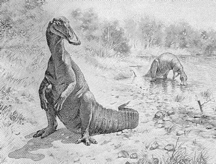 Hadrosaurus | Fossil Wiki | Fandom powered by Wikia