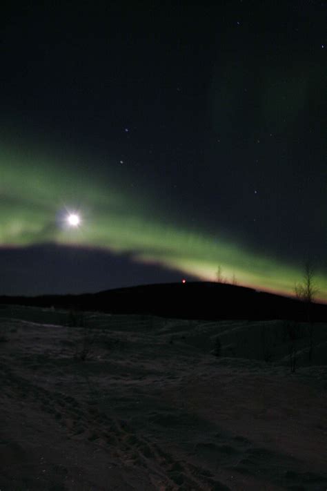 Free picture: green lights, sky, night, northern lights