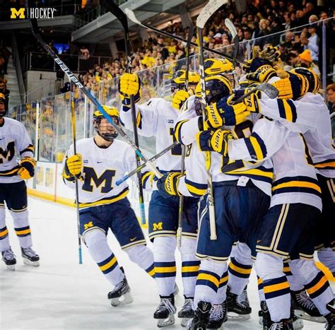 Pin by R S on Michigan Wolverines Hockey | Michigan wolverines hockey, Michigan wolverines, Michigan