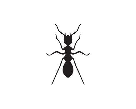 Ant Logo template vector illustration design 578142 Vector Art at Vecteezy