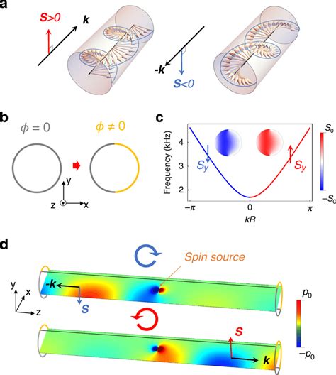 Spin angular momentum in waveguide with symmetry-breaking boundary ...