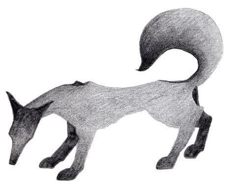 Gray Fox Animal Drawing