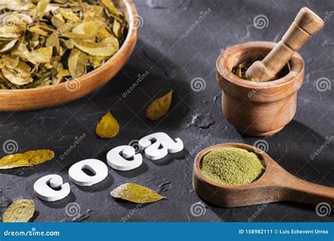 Erythroxylum Coca - Coca Leaves and Flour Stock Image - Image of species, andes: 158982111