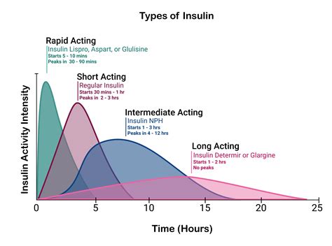 How Long After Insulin Injection Can I Eat at Brenda Walker blog