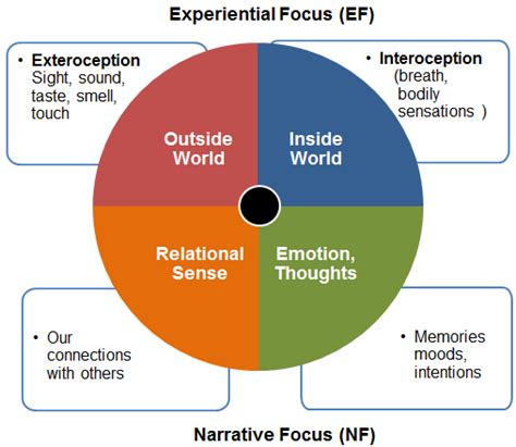 Managing emotions, Therapy activities, Emotions