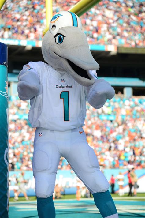 TD the Dolphin | The Mascot Company | Dolphins, Miami dolphins, Nfl ...