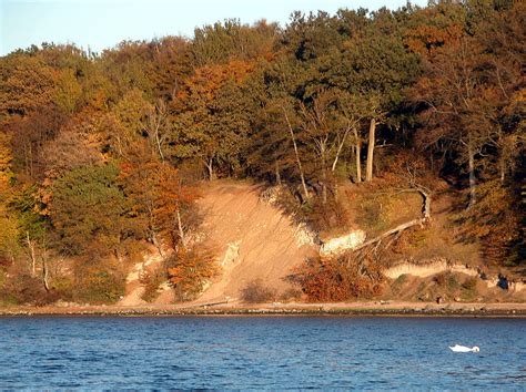 Roskilde Fjord - Boserup Forest