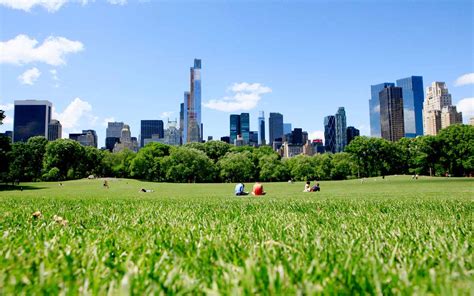 A Golf Course in Central Park? The Bold Plan for 36 Holes in Manhattan