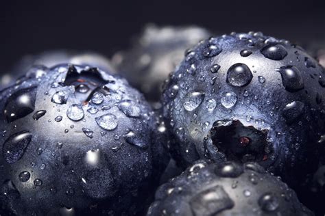 Free picture: blueberries, sweet, water, wet, berries, water drops ...