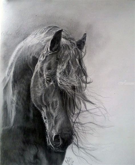 "STALLION", Decorative Arts, Fine Art, Realism, Animals, Pencil, By ...