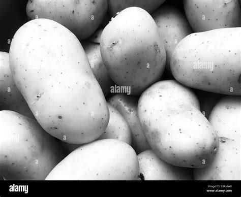 potatoes in a pile in black and white Stock Photo - Alamy