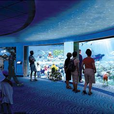 83 NATIONAL AQUARIUM IN BALTIMORE ideas | baltimore, aquarium, national