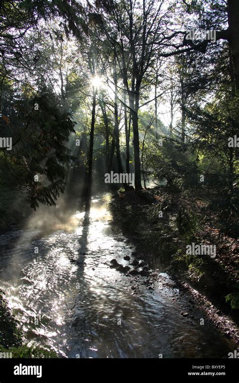 Adlington Hall & Gardens, England. Early morning view of the River Dean in the Adlington Hall ...