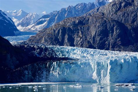 Travel Inspiration: A Voyage into Glacier Bay Reveals Alaska's Raw Beauty