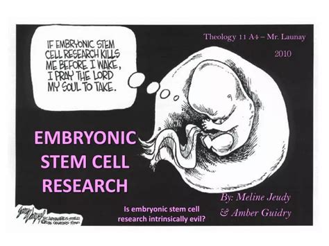 PPT - EMBRYONIC STEM CELL RESEARCH PowerPoint Presentation, free download - ID:2807680