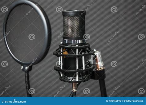 Professional Condenser Studio Microphone. Stock Photo - Image of shield ...