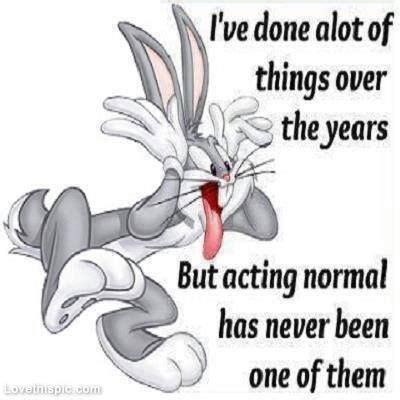 Best Looney Tunes Quotes. QuotesGram