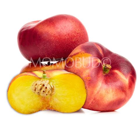 Family Tree Farms® Necta Pie Donut Yellow Nectarine (4pcs) — MomoBud