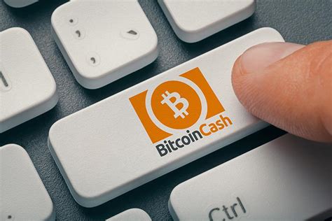 Bitcoin Cash Price Prediction and Analysis in November 2019 - Coindoo