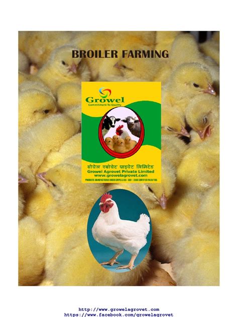 Broiler Farming Guide | PDF | Poultry Farming | Broiler