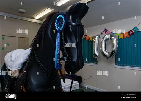 Mechanical horse riding hi-res stock photography and images - Alamy