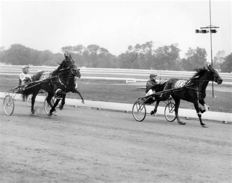 Horses; Riley; Speed Supreme; Speed Model racing in 1967