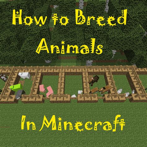 How To Feed Animals In Minecraft Switch