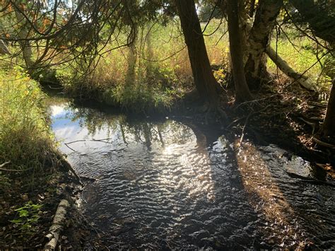 Watershed & Habitat Restoration Projects – Conservation Center