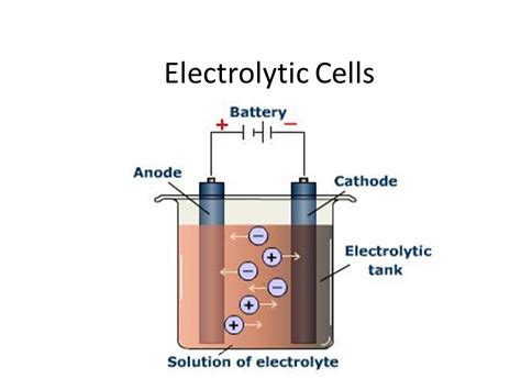 Draw A Labelled Diagram Of Electrolytic Cell