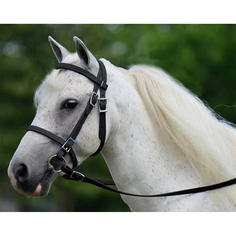 Mini Horse English Bridles for Sale - Two Horse Tack