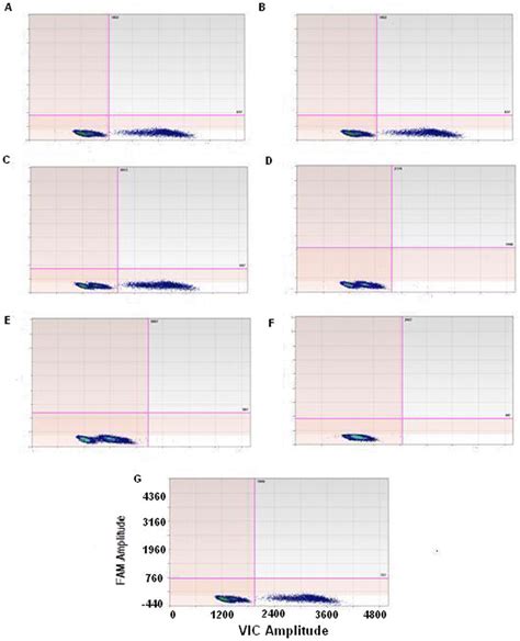 Cross reaction evaluation between wild type and each KRAS mutant by a ...