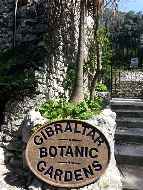 Gibraltar Botanic Gardens (aka the Alameda Gardens), Gibraltar | Rock of gibraltar, Spain and ...