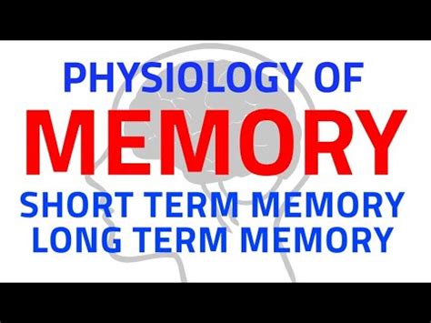 MEMORY | CNS PHYSIOLOGY - NEUROPHYSIOLOGY - YouTube