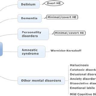 HE conceived as an organic mental disorder and classified according to ...