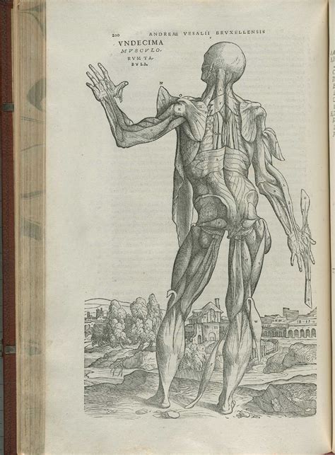 Historical Anatomies on the Web: Andreas Vesalius Home