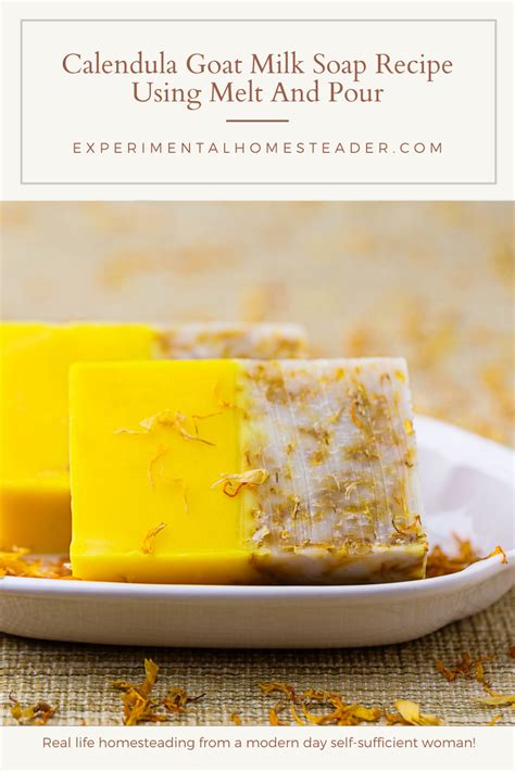 Make your own soap for dry skin at home with this easy goat milk soap recipe using melt and pour ...