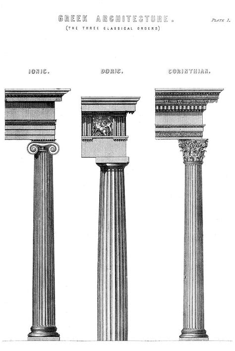 Doric Column Drawing at PaintingValley.com | Explore collection of Doric Column Drawing