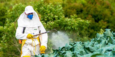 Developing world is awash in pesticides - does it have to be?