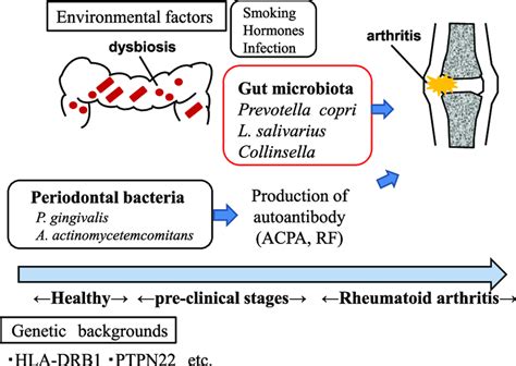 Both genetic and environmental factors are involved in the pathogenesis ...