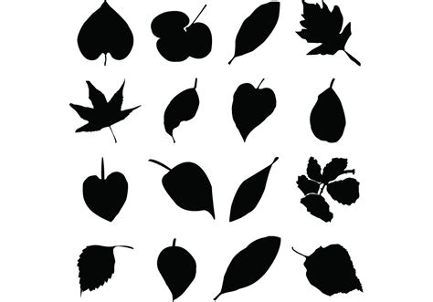 Leaf Silhouettes Free Vector Graphics - Download Free Vector Art, Stock Graphics & Images