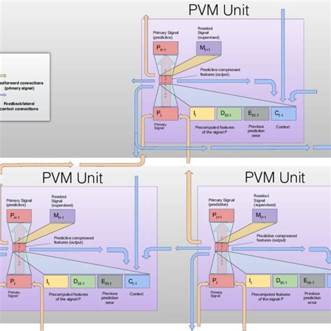 PVM Local Circuit. Several units in the lower level of the hierarchy ...