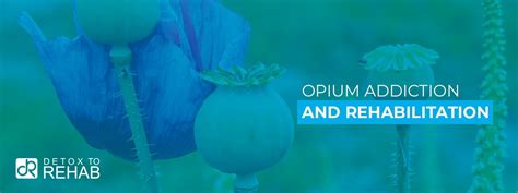 Opium Addiction and Rehabilitation - Detox To Rehab