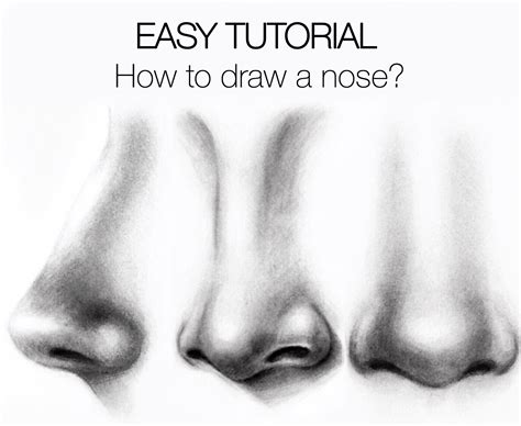 14+ Exhilarating Pencil Drawing Supplies & Techniques Ideas (With images) | Nose drawing ...